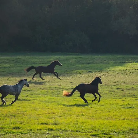 Domaine De Prim' - D'hôtes Alojamento de Acomodação e Pequeno-almoço 3*